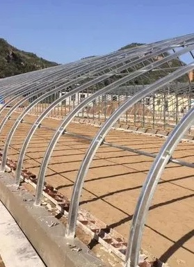 需求不及预期 天津大棚管厂家利润承压向下