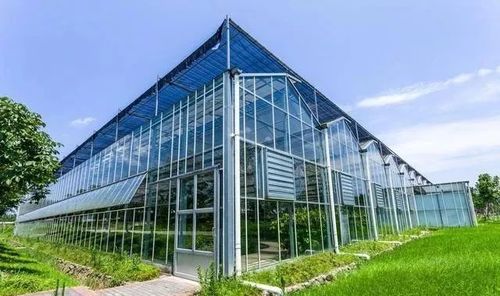 种植大棚建设 大棚管生产厂家哪家好？
